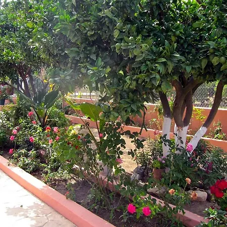 Apartament Artemis Superb 2 Bedroom 700 M Away From The Minia