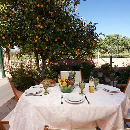 Apartament Artemis Superb 2 Bedroom 700 M Away From The Minia