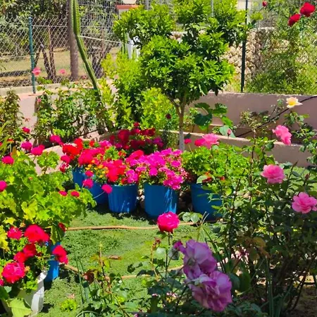 Apartamento Artemis Superb 2 Bedroom 700 M Away From The *